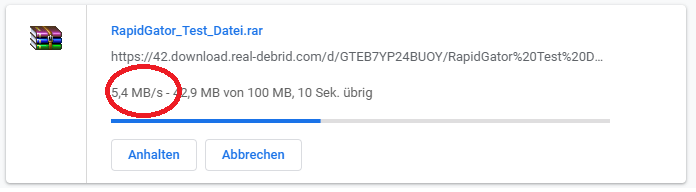 real-debrid rapidgator Télécharger Test