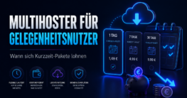 Multihoster Für Gelegenheitsnutzer 2026