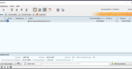 DDownload über LinkSnappy im JDownloader mit über 50 MiB pro Sekunde im Praxistest